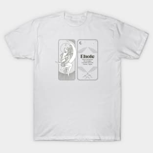 Meteorite Collector "Observed Fall: Ehole" Meteorite T-Shirt